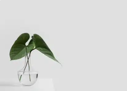 servicios secccion1 img